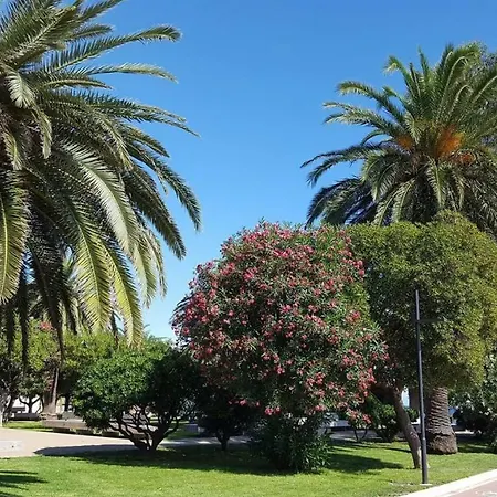 La Palma Savone