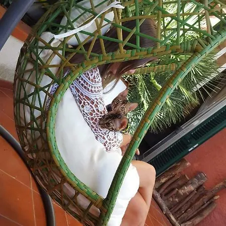 La Palma Appartement